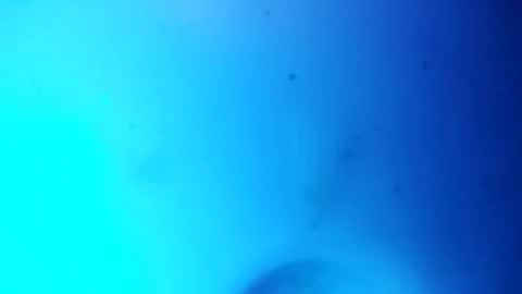 Gu online show from January 20, 9:35 am