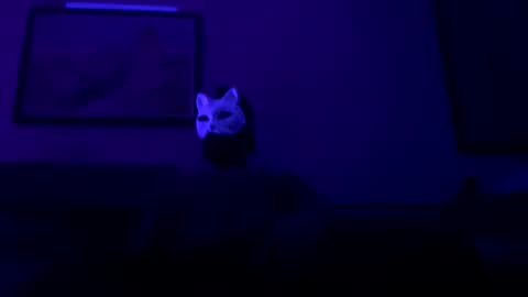 guyst049 online show from February 18, 2:38 am