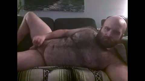 Hairiest Bear online show from November 29, 9:33 am