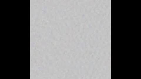 Hairy Tyler online show from October 19, 3:37 pm