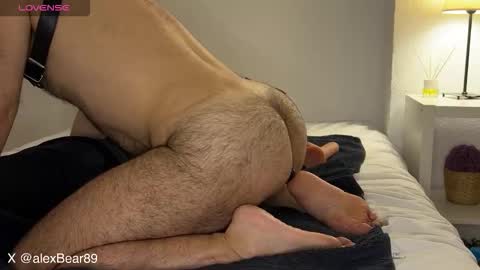 Snapshot of hairyarabbear chatting on September 12, 4:45 am hairyarabbear online show from September 12, 4:45 am