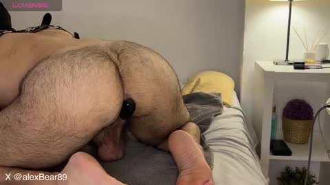 Snapshot of hairyarabbear chatting on September 15, 2:14 am hairyarabbear online show from September 15, 2:14 am