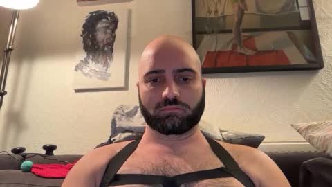 Hairy Guy online show from November 2, 9:30 pm