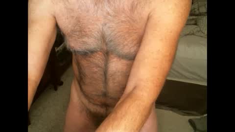 Snapshot of hairypecsguy chatting on February 12, 9:10 am Hairy pecs online show from February 12, 9:10 am