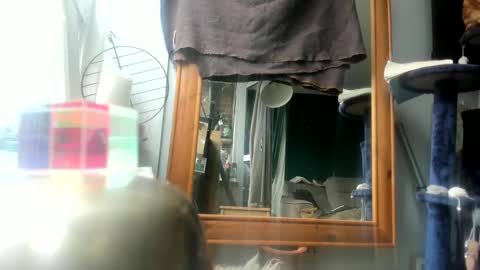 handncocknocum online show from December 18, 12:07 pm