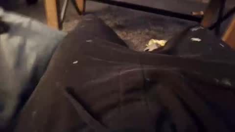 handylong88 online show from November 19, 5:51 am