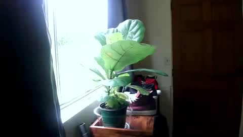 Leila online show from March 14, 11:56 pm