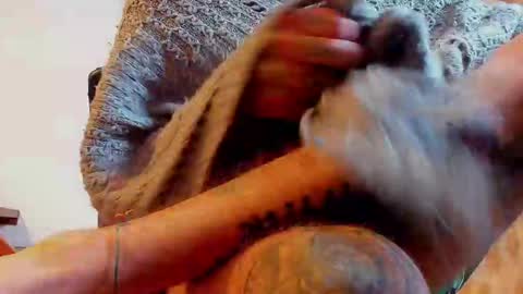 Snapshot of harry_reems_ chatting on March 9, 8:42 pm OMAR online show from March 9, 8:42 pm