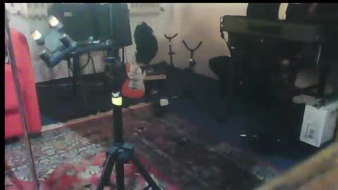 Snapshot of hartwichser1 chatting on January 29, 10:11 pm hot n nasty online show from January 29, 10:11 pm