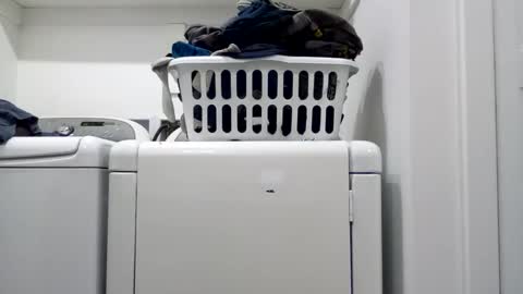 hdrsh08 online show from April 15, 4:34 am