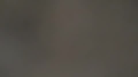 hellohowareyou66 online show from January 17, 2:03 am