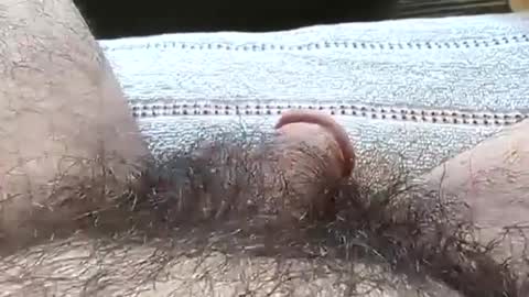 Tiny cock online show from November 10, 6:56 pm