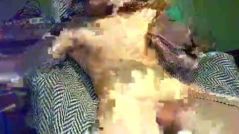 Snapshot of hornycocxxx chatting on March 9, 1:14 am hornycocxxx online show from March 9, 1:14 am