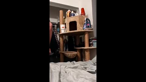 hornyman6942842 online show from March 5, 8:49 pm