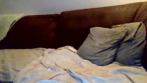 hotboy381 online show from January 15, 4:32 pm