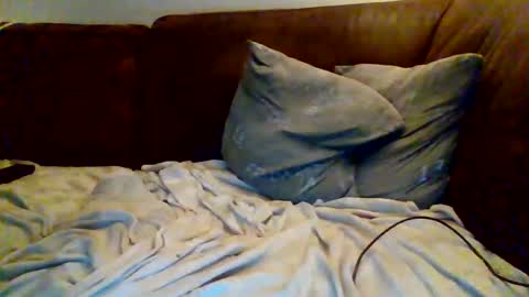 hotboy381 online show from January 30, 5:17 pm