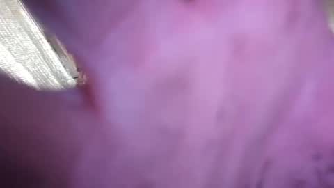 humblechronic online show from December 25, 7:24 am