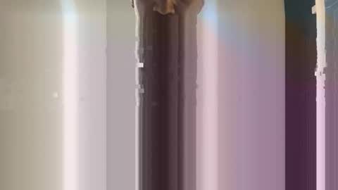 Sub male uk online show from November 5, 3:19 am