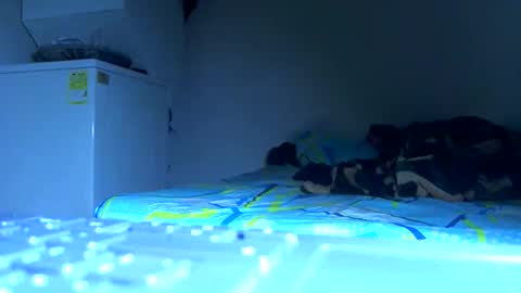 Samuel igsamuelnoguera 1333 online show from October 24, 4:14 am