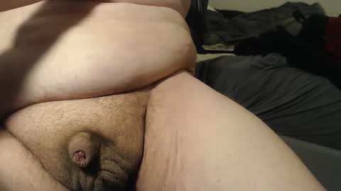 illinoisteddybear online show from February 22, 3:19 am