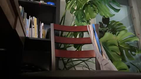 Ironotter online show from January 14, 4:28 am