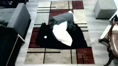 itsdamien666 online show from November 6, 11:52 pm