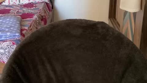 Raje online show from November 2, 3:22 am