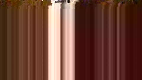 Dess online show from February 14, 10:49 am