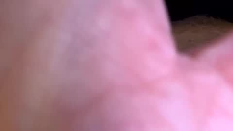 jackjackerman online show from April 10, 8:54 am