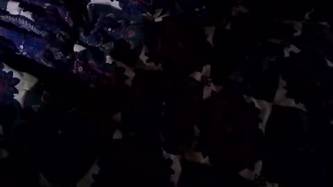 Jason online show from February 2, 4:11 pm