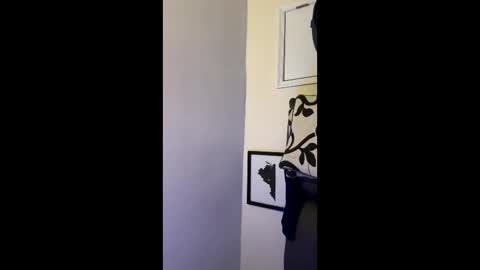 Allen online show from December 14, 5:14 am