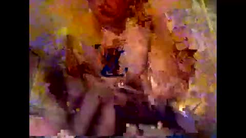 james6330 online show from October 19, 12:59 am