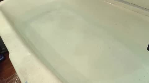 Bootyshows online show from October 29, 8:01 pm