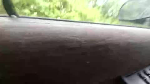 jaredparks322 online show from April 19, 12:37 pm