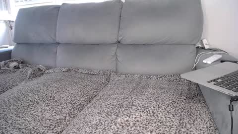 Javier  online show from December 7, 4:47 pm