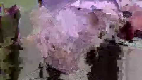 jaybird8 online show from November 9, 4:44 pm