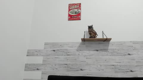 Jaycreedd online show from March 6, 3:58 am