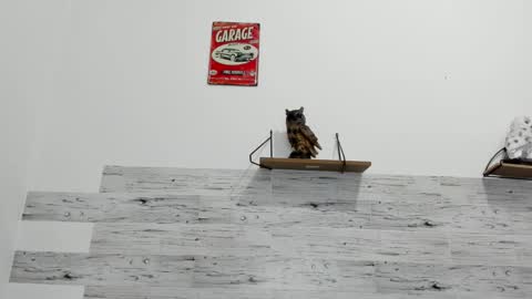 Jaycreedd online show from October 13, 1:44 am