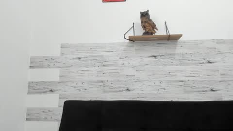 Jaycreedd online show from October 18, 3:39 pm