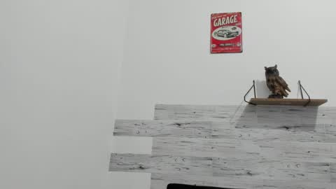 Jaycreedd online show from November 2, 2:27 am