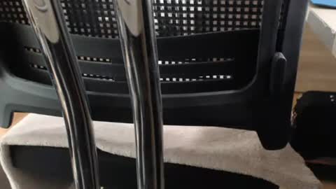 jc200000 online show from October 16, 6:16 pm