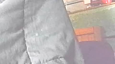 jedishy925585 online show from January 12, 11:14 am