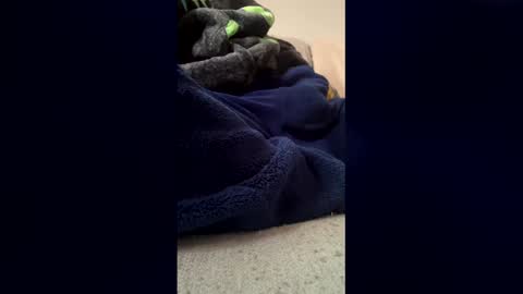 jesusmelgarez online show from March 4, 10:33 am