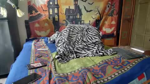 Jhon wich2 online show from October 12, 8:03 pm