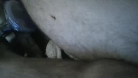 jjohnathan529 online show from February 27, 4:39 pm