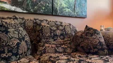 jlk7777 online show from April 17, 3:15 pm