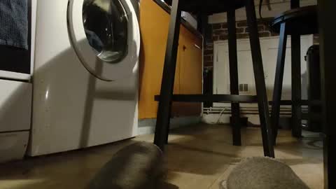 GUILLAUME feet and socks online show from February 3, 7:42 pm