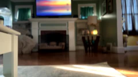 bisexual King  online show from February 13, 2:00 pm