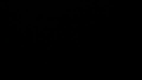 John carrie    Independent  Help me reach my goal 100 likes and 10000 followers  online show from January 6, 5:52 am