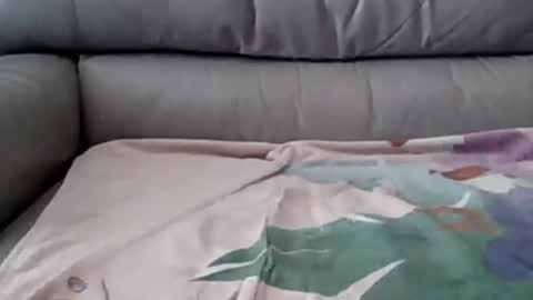 bigger than some online show from March 5, 8:12 pm